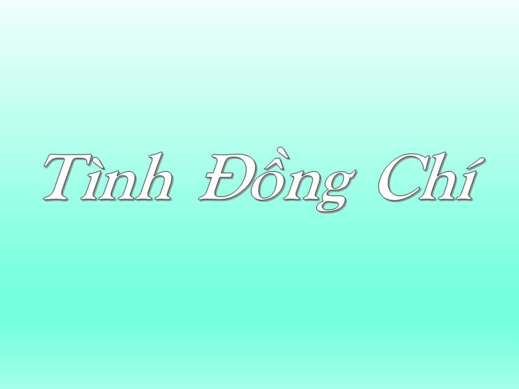Tình Đồng Chí