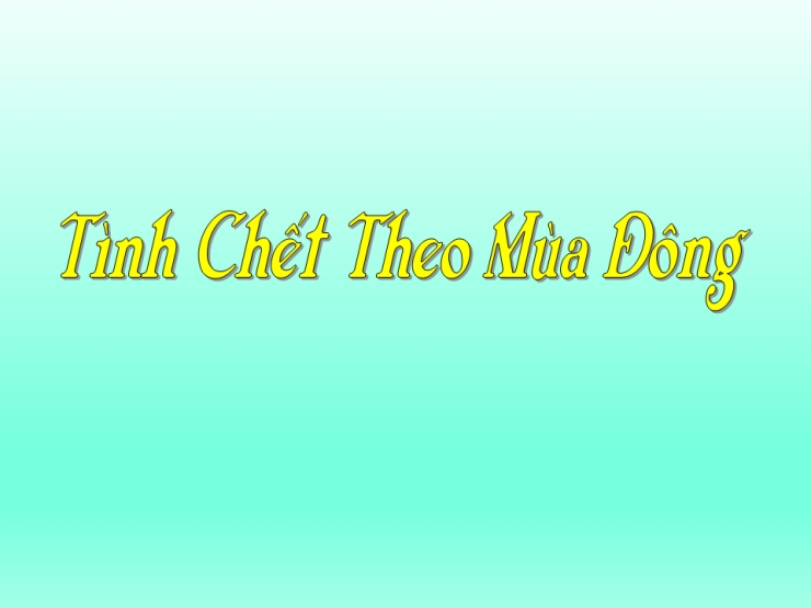 Tình Chết Theo Mùa Đông