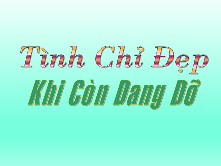 Tình Chỉ Đẹp