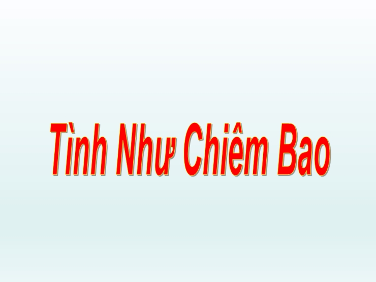 Tình Như Chiêm Bao