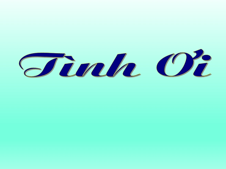 Tình Ơi