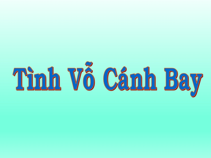 Tình Vỗ Cánh Bay