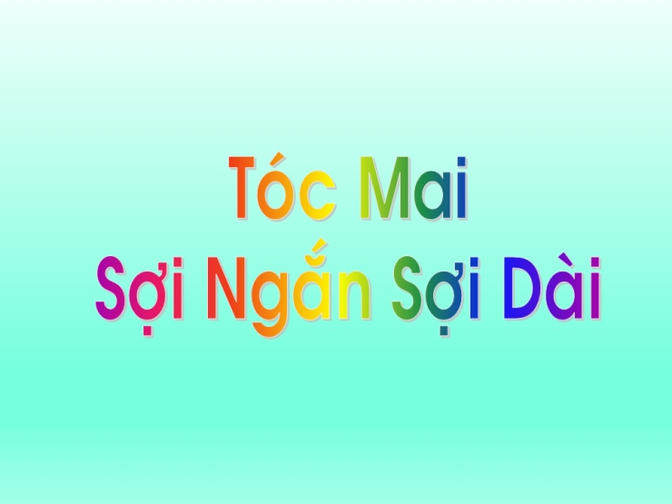 Tóc Mai Sợi Vắn Sợi Dài