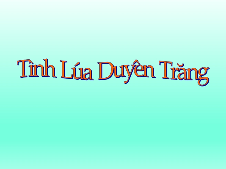 Tình Lúa Duyên Trăng