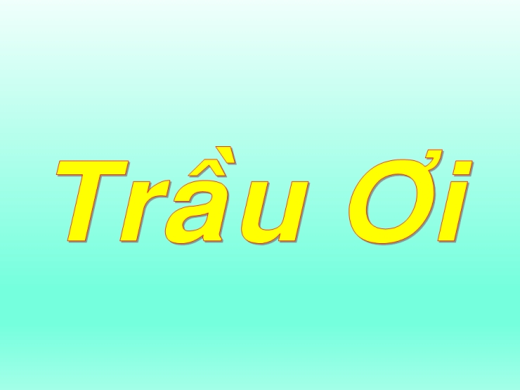 Trầu Ơi