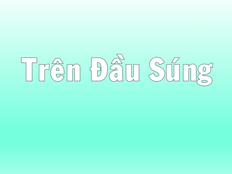 Trên Đầu Súng
