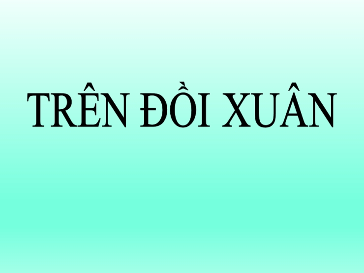 Trên Đồi Xuân