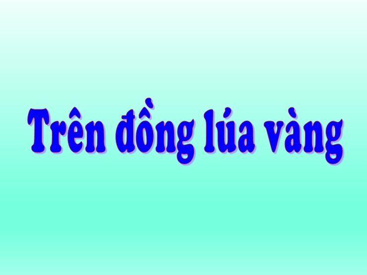 Trên Đồng Lúa Vàng
