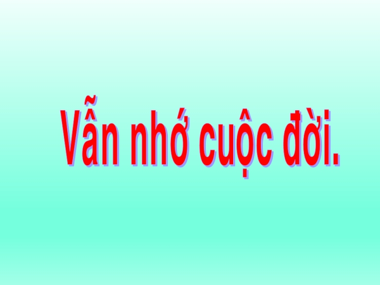 Vẫn Nhớ Cuộc Đời