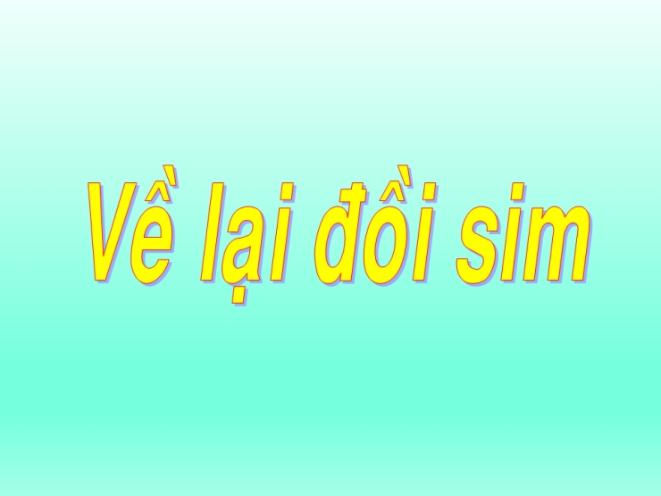 Về Lại Đồi Sim