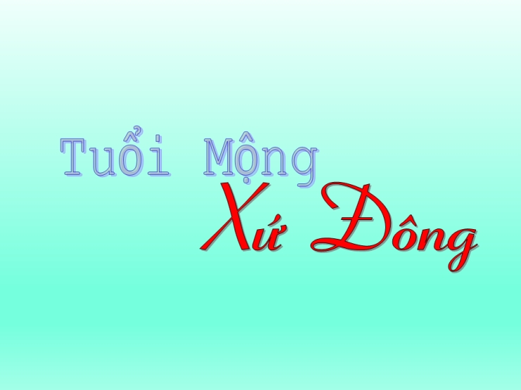 Tuổi Mộng Xứ Đông (Mưa Trên Phố)