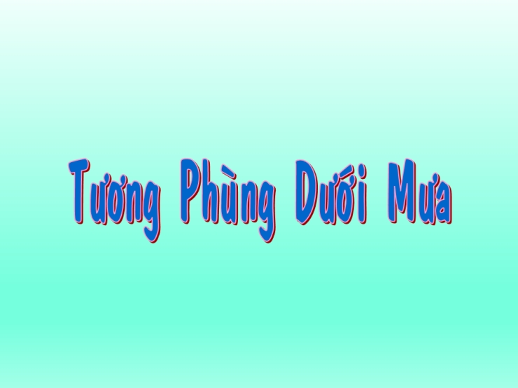 Tương Phùng Dưới Mưa