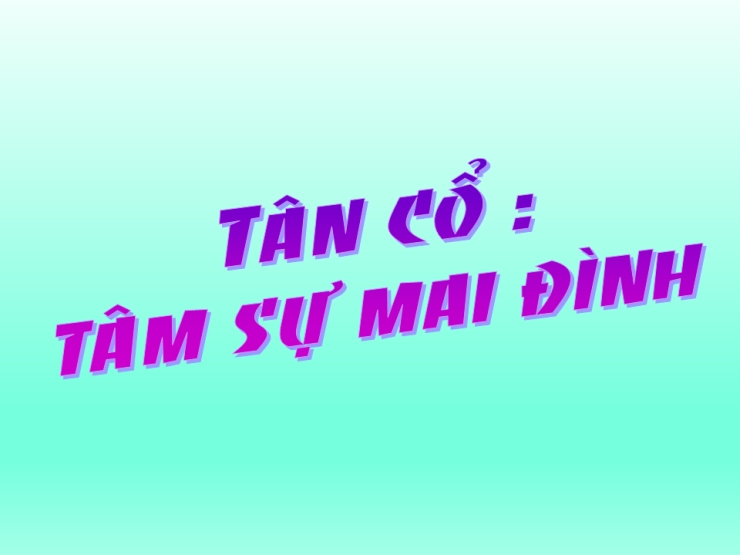 Tâm Sự Mai Đình (Tân Cổ)