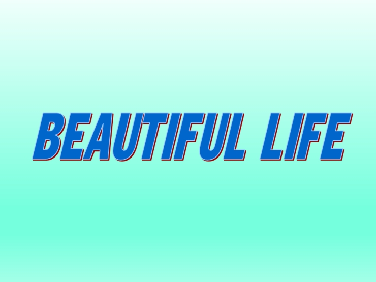 Beautiful Life