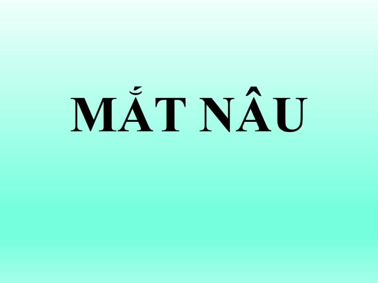 Mắt Nâu