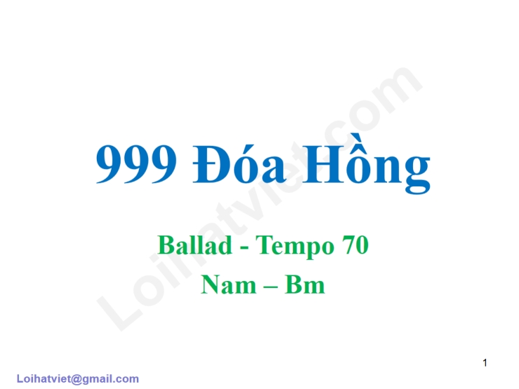 999 Đóa Hoa Hồng