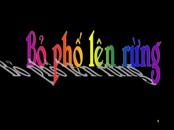 Bỏ Phố Lên Rừng