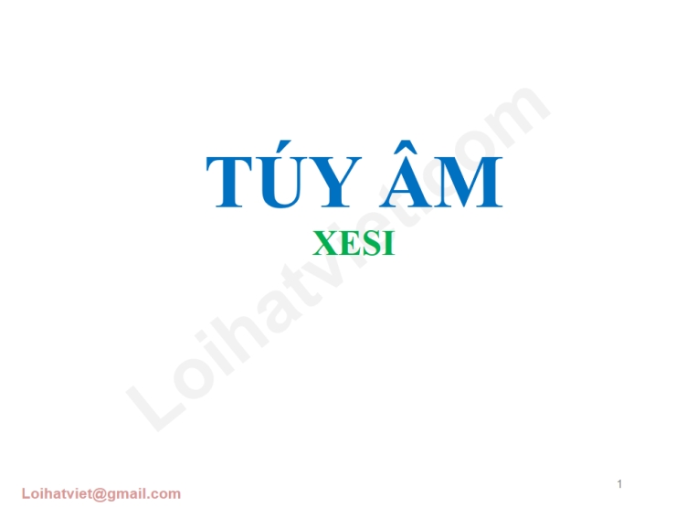 Túy Âm