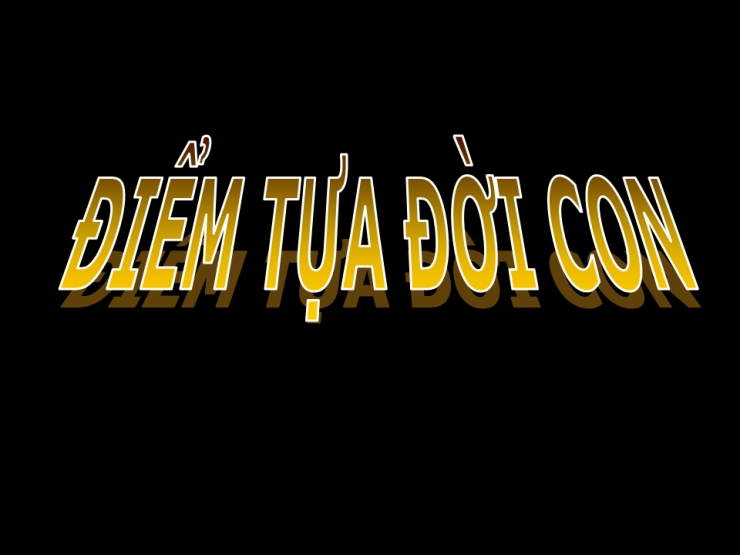 Điểm Tựa Đời Con