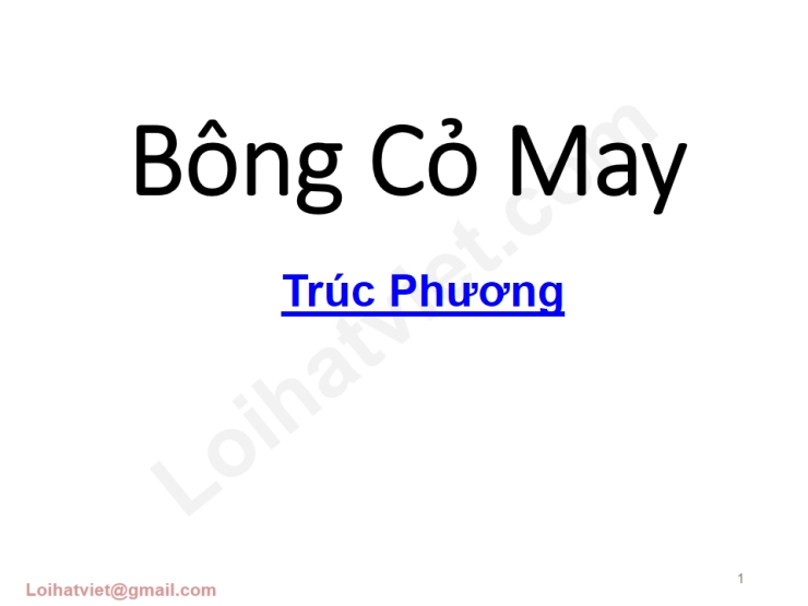 Bông Cỏ May