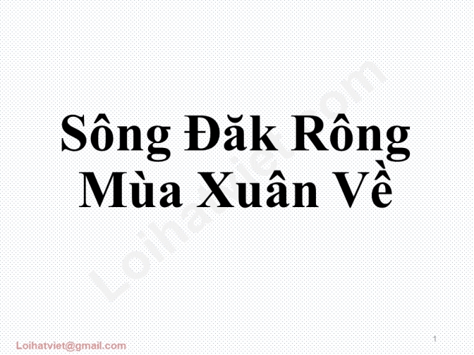Sông Đăk Rông Mùa Xuân Về - Song Dac Rong Mua Xuan Ve