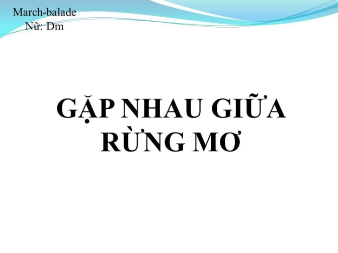 Gặp Nhau giữa Rừng Mơ