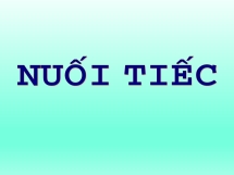 Nuối Tiếc