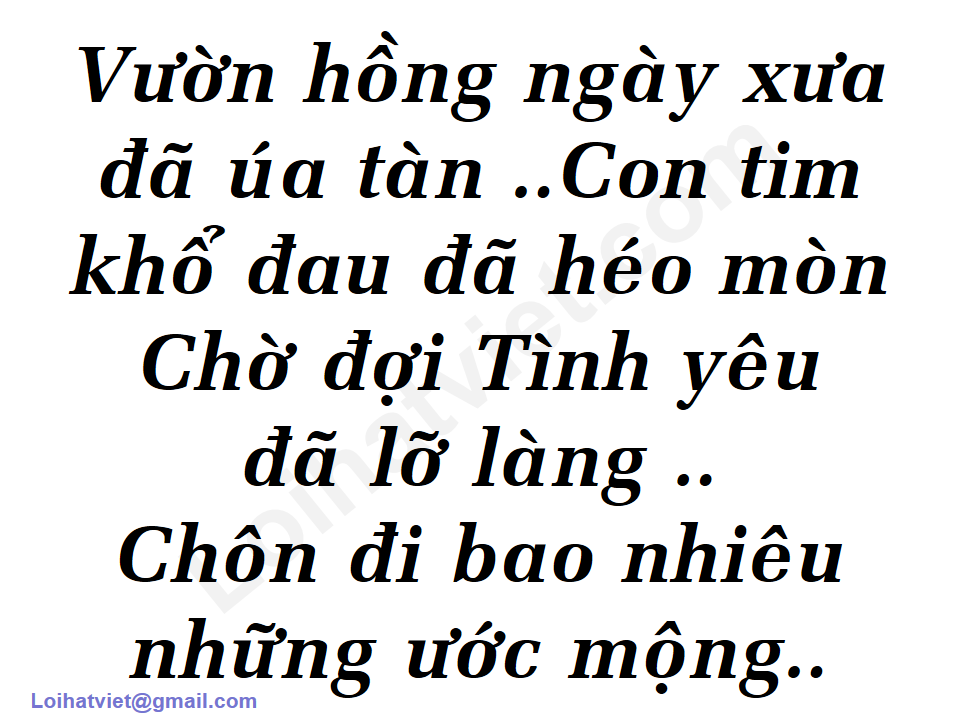 999 Đóa Hoa Hồng