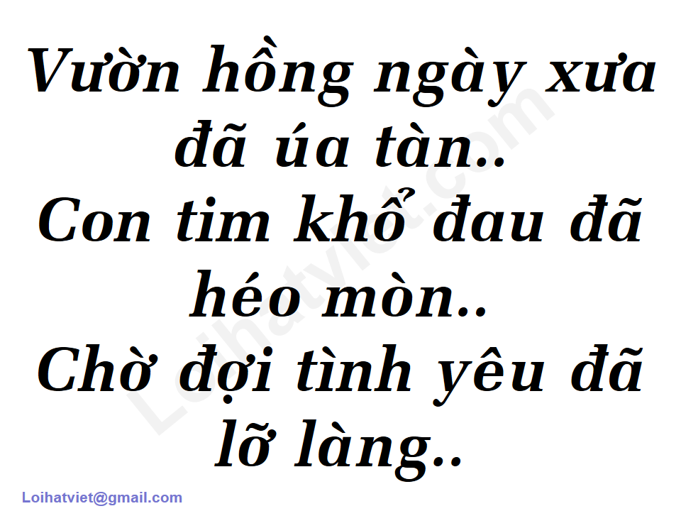 999 Đóa Hoa Hồng