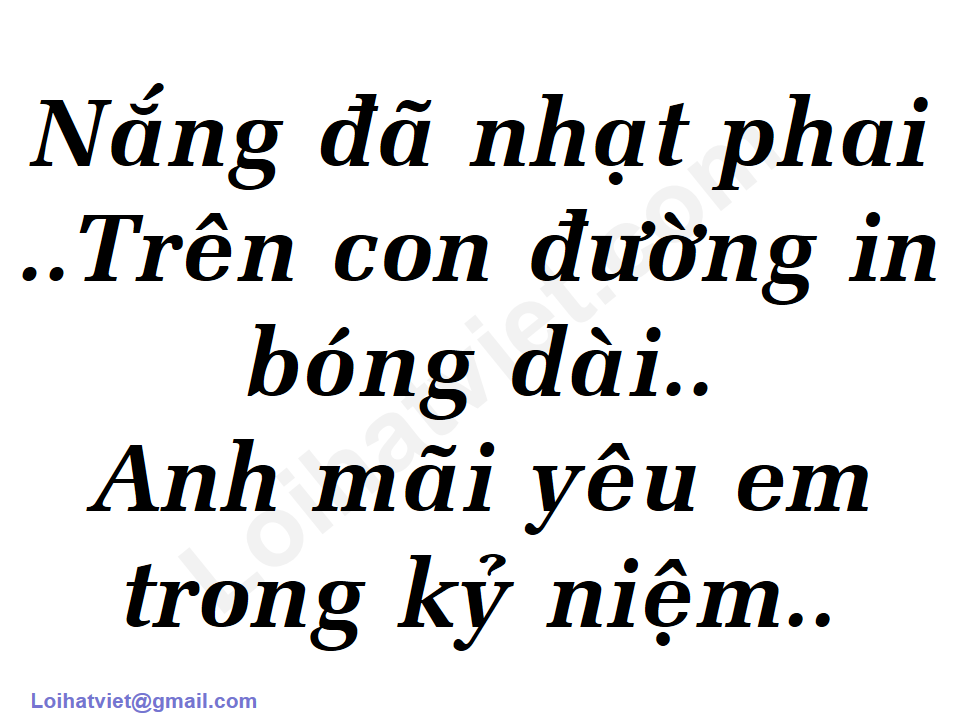 999 Đóa Hoa Hồng