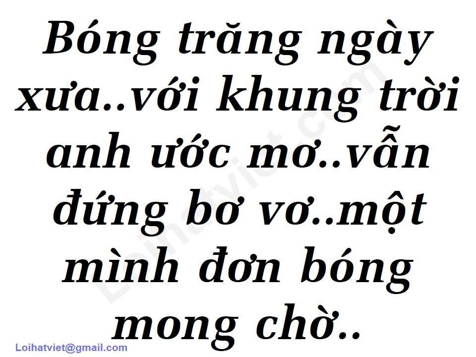 999 Đóa Hoa Hồng