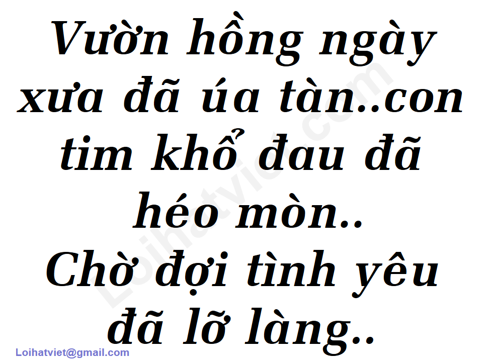 999 Đóa Hoa Hồng