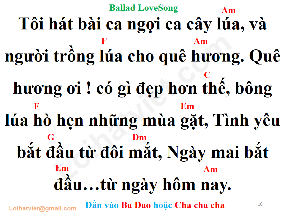 Bài ca cây lúa - Hát về cây lúa hôm nay