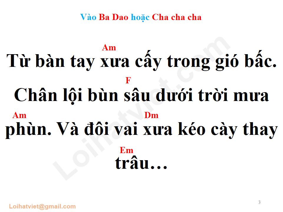 Bài ca cây lúa - Hát về cây lúa hôm nay